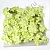 Гортензия из мыльной пены 25 шт. салатовая 5