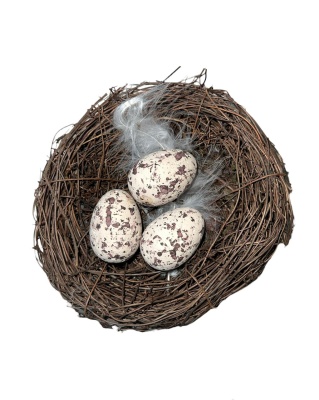 18433626-cfa5-4fb8-8b88-518733eb85b6 18433626-cfa5-4fb8-8b88-518733eb85b6