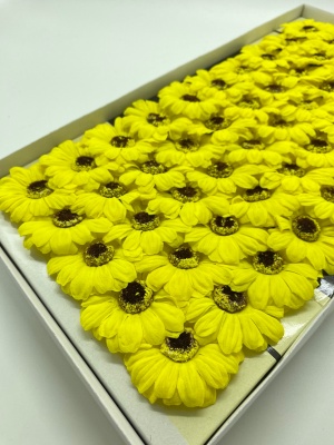 WhatsApp Image 2023-02-16 at 13.11.09 (1)