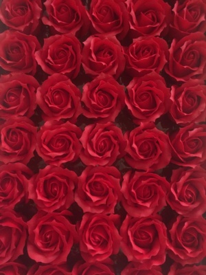 WhatsApp Image 2021-03-05 at 13.48.58