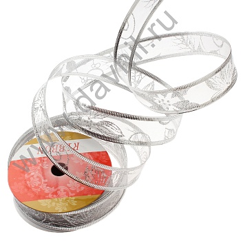 size 2 5 cm color silver