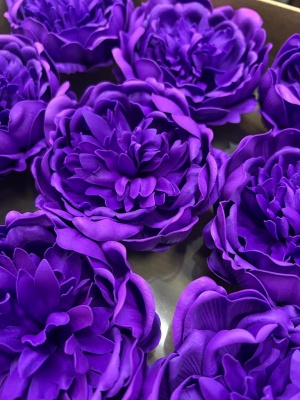 WhatsApp Image 2023-09-19 at 11.01.11