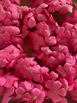 WhatsApp Image 2021-03-18 at 14.42.20