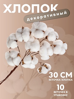 хлопок инфографика_1