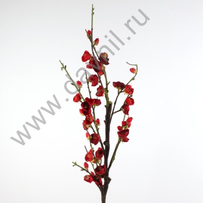 А1-14 (2) А1-14 (2)