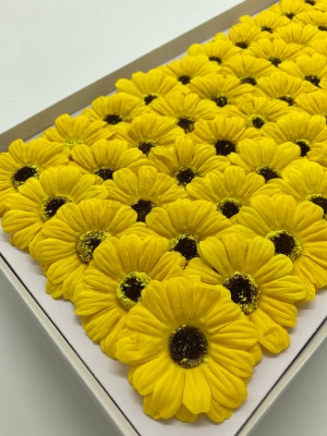 WhatsApp Image 2023-02-16 at 13.11.08 (1)