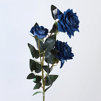 А1-55