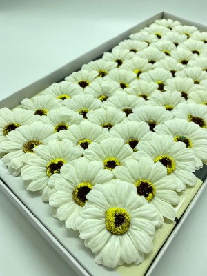 WhatsApp Image 2023-02-16 at 13.11.05