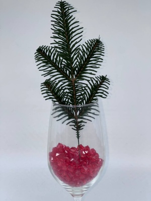 246b113e-b96e-4ed8-bc01-9c05a142c982