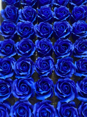 WhatsApp Image 2021-03-05 at 12.29.57 (1)