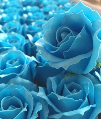 НоменклатураПрисоединенныеФайлы