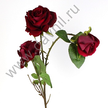 А1-53 фиолетовый
