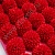 Хризантемы 18 слоёв лепестков 50 шт красные 17																														