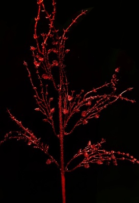 WhatsApp Image 2021-10-31 at 13.45.54