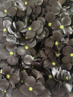 WhatsApp Image 2021-03-18 at 14.41.51